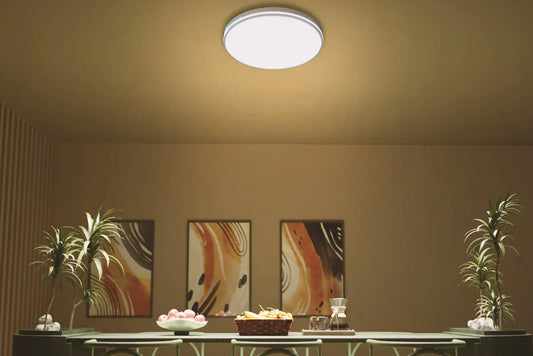 A Complete Guide to Selecting Ceiling Lighting for Any Space