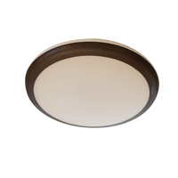 Saturn ceiling Light