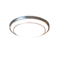 Summit Ceiling Light